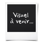 V5H3FE3802E9065555ED3EFF99C2547A98CR5778817P5