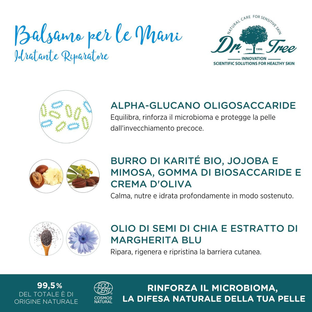 V2HE1532EEC91BDEBBE4BEDD2E56B20D02FR7706935P1